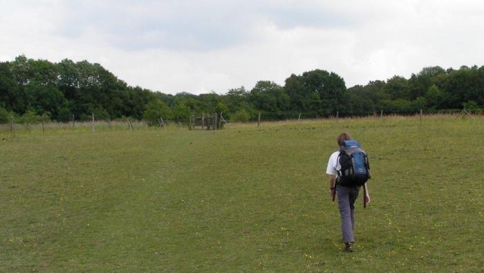 North Downs Way 5: Knockholt to&nbsp;Wrotham