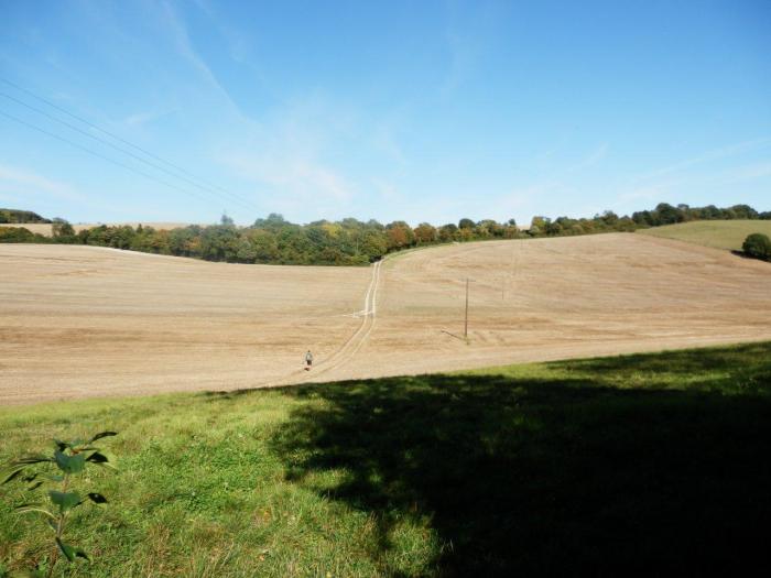 North Downs Way 6: Wrotham to Blue Bell&nbsp;Hill