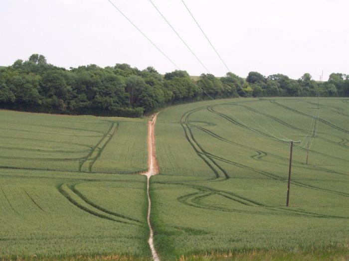 Training on the North Downs