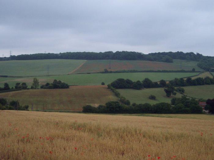 Final Training Walk on the North Downs