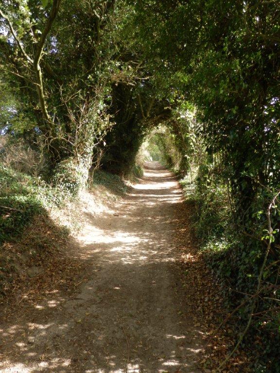 North Downs Way 8: Detling to Dunn&nbsp;Street
