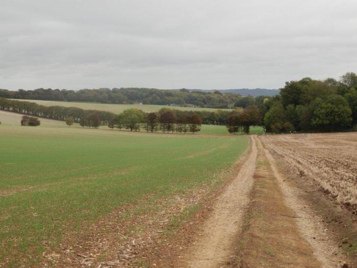 Heading out from Dunn Street Heading out from Dunn Street