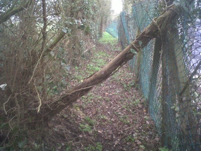 West Horndon Obstacle Course West Horndon Obstacle Course