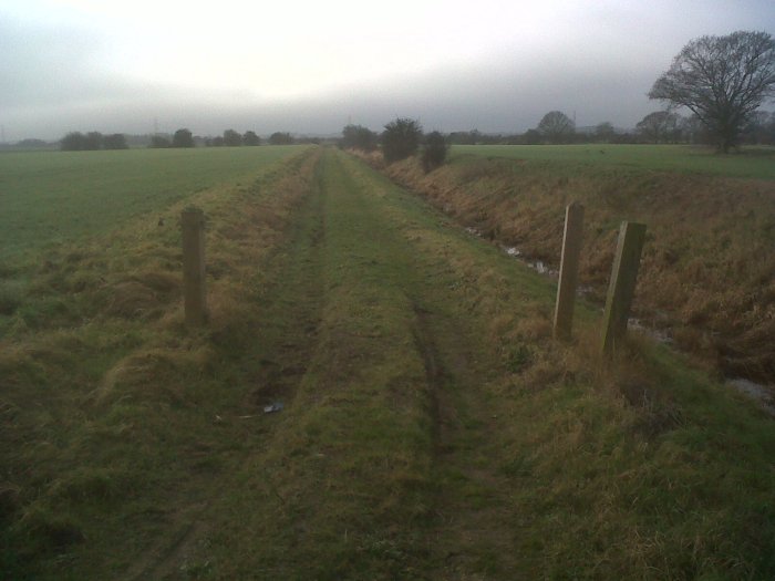 On the home stretch On the home stretch