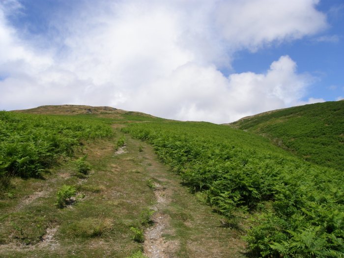 Bracken covers the lower slopes
