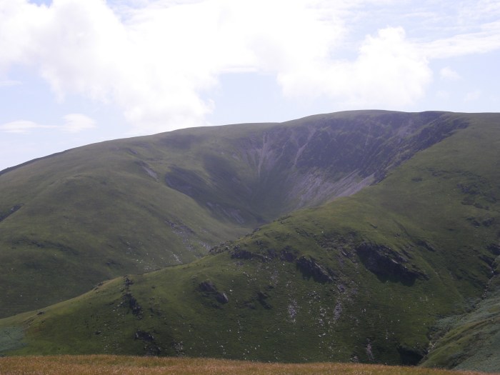 ...and the black one