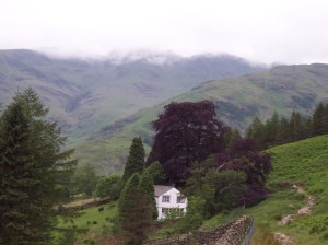 The Band from near ODG