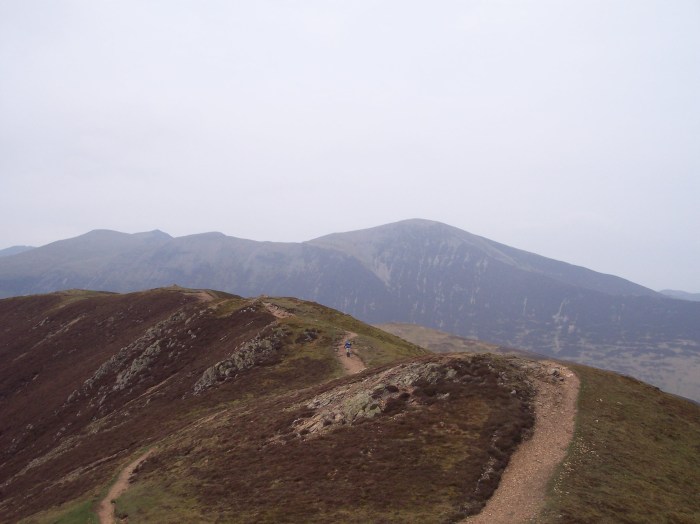 Over Causey's nobbles