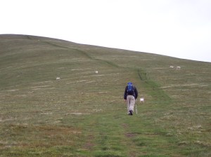 Heading up Arant Haw