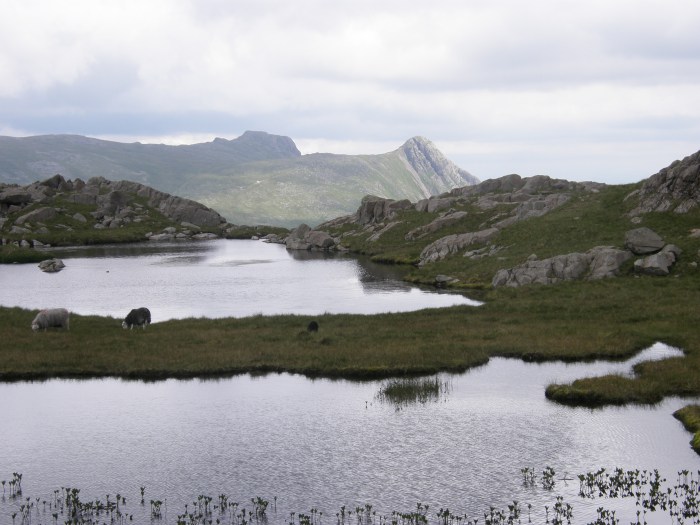 From tarns between Allen Crags and Glaramara