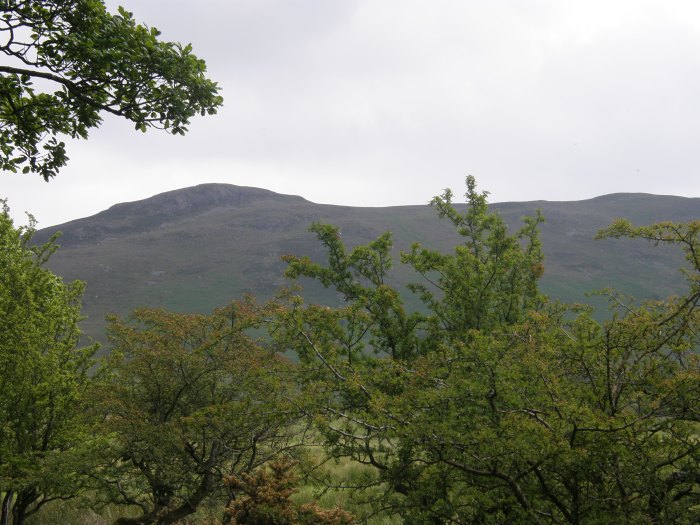 Binsey on the approach from Bewaldeth