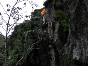 Letting someone else lead