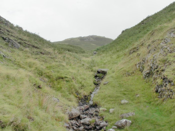 Near the top of William's Beck