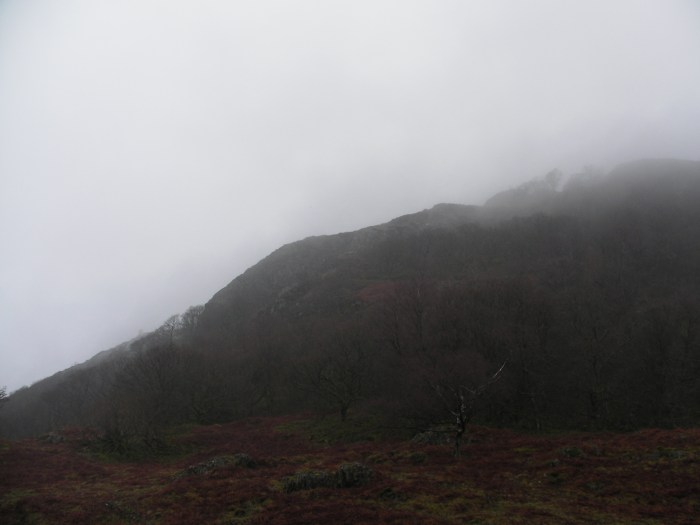 Not a nice day for climbing Holme Fell Not a nice day for climbing Holme Fell