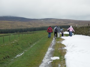 Heading for Mwdwl-eithin