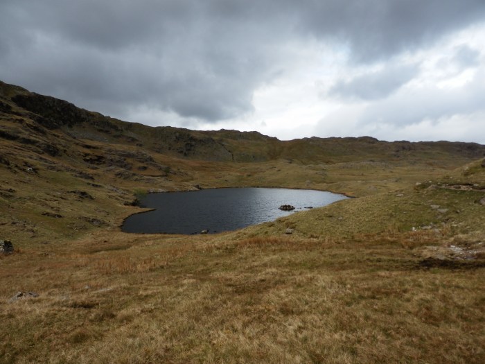 Codale Tarn