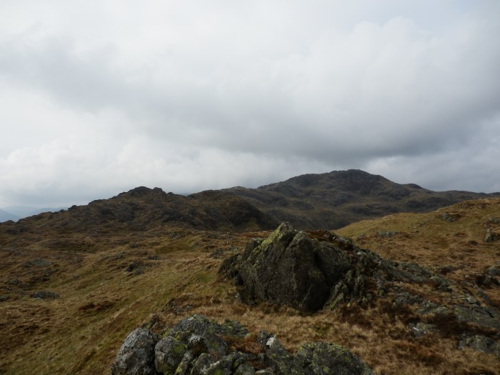 Looking to Dovenest Top