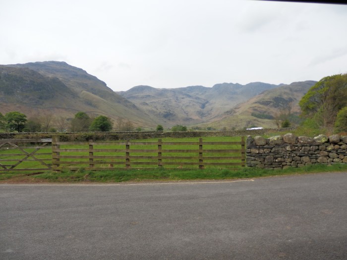 View from the bus stop at ODG