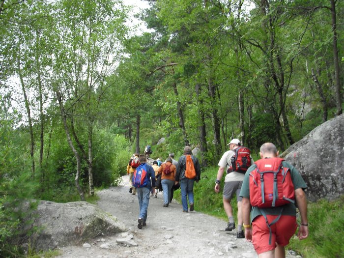 Heading off through the forest