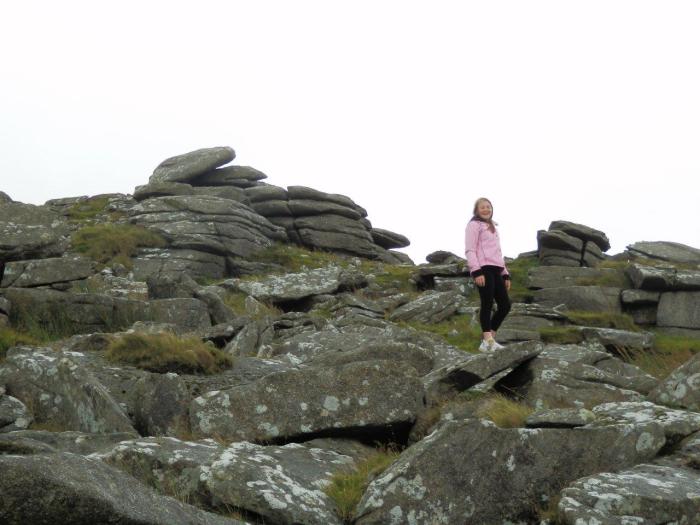 On Little Rough Tor