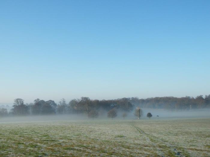 Across the Darnley estate