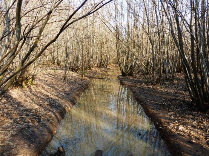 Glad I wasn't heading east