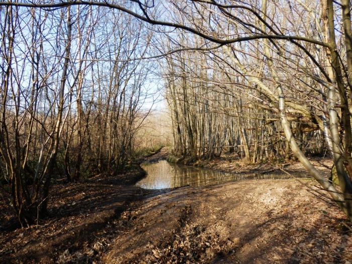 ...but straight ahead wasn't much better