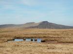 Looking to Pen y Fan from Waun Rydd