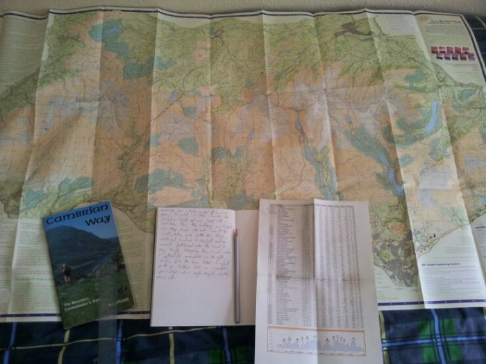 Replanning whilst on the walk