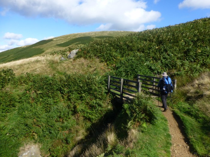 Bridge Modelling (photo courtesy of @LonewalkerUK)