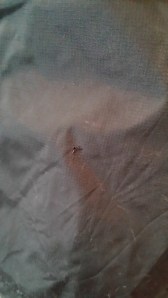 Berghaus Deluge Overtrousers 2