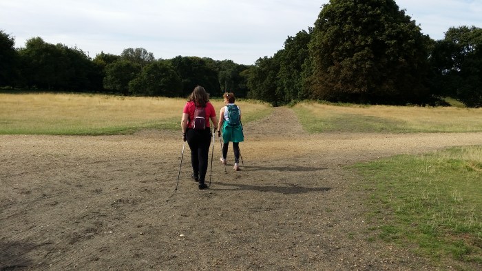 Nordic walking in Richmond Park