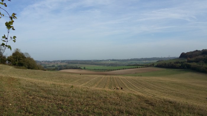 The Wealdway near Luddesdown