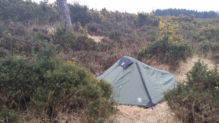 A camp in the Forest