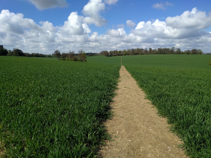 The North Downs Way 10: The Missing Canterbury&nbsp;Tales